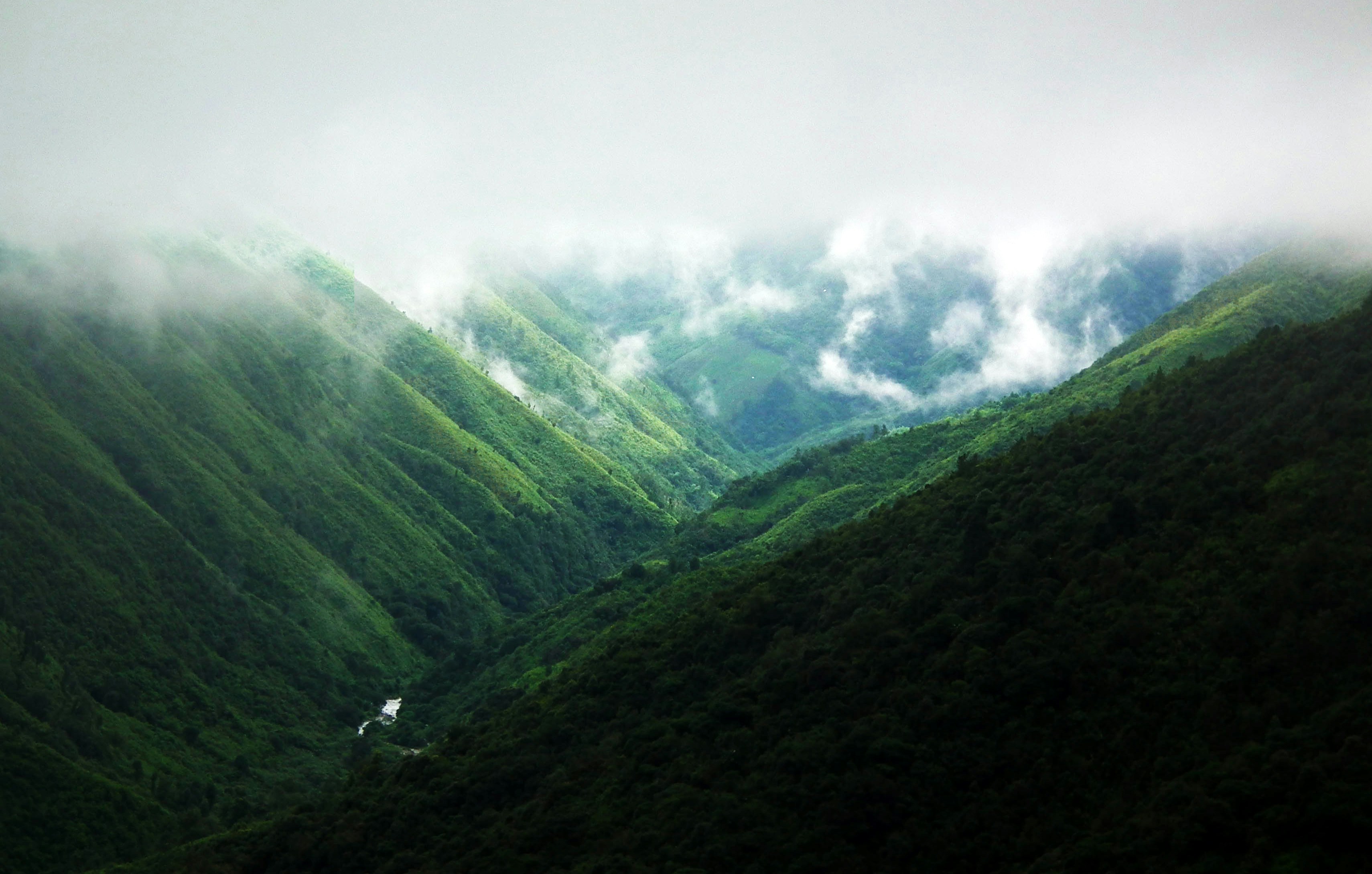 Meghalaya